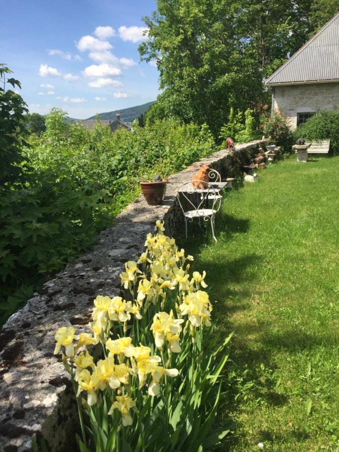Chateau De Sothonod Eksteriør billede
